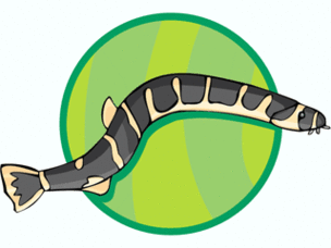Eel Clip Art Free Clipart Panda Images Clipart - Free to use Clip ...