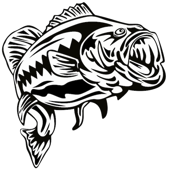 Bass fishing, the addiction to life