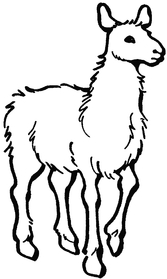 Alpaca 20clipart 20 - Free Clipart Images