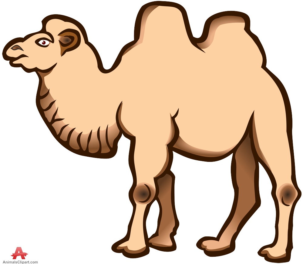 Free camel clipart clip art pictures graphics illustrations 2 ...