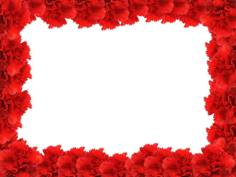 Yellow, Flower and Red