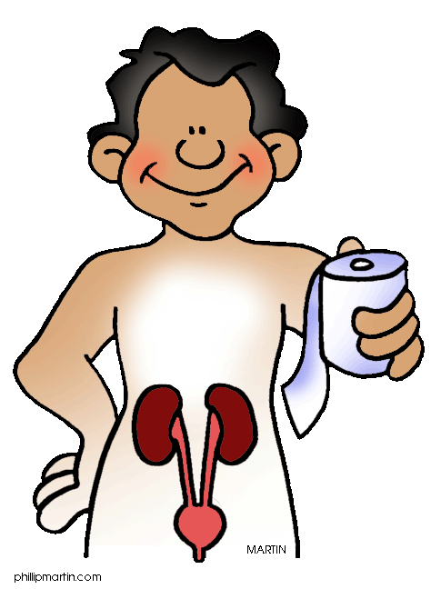 endocrine on emaze