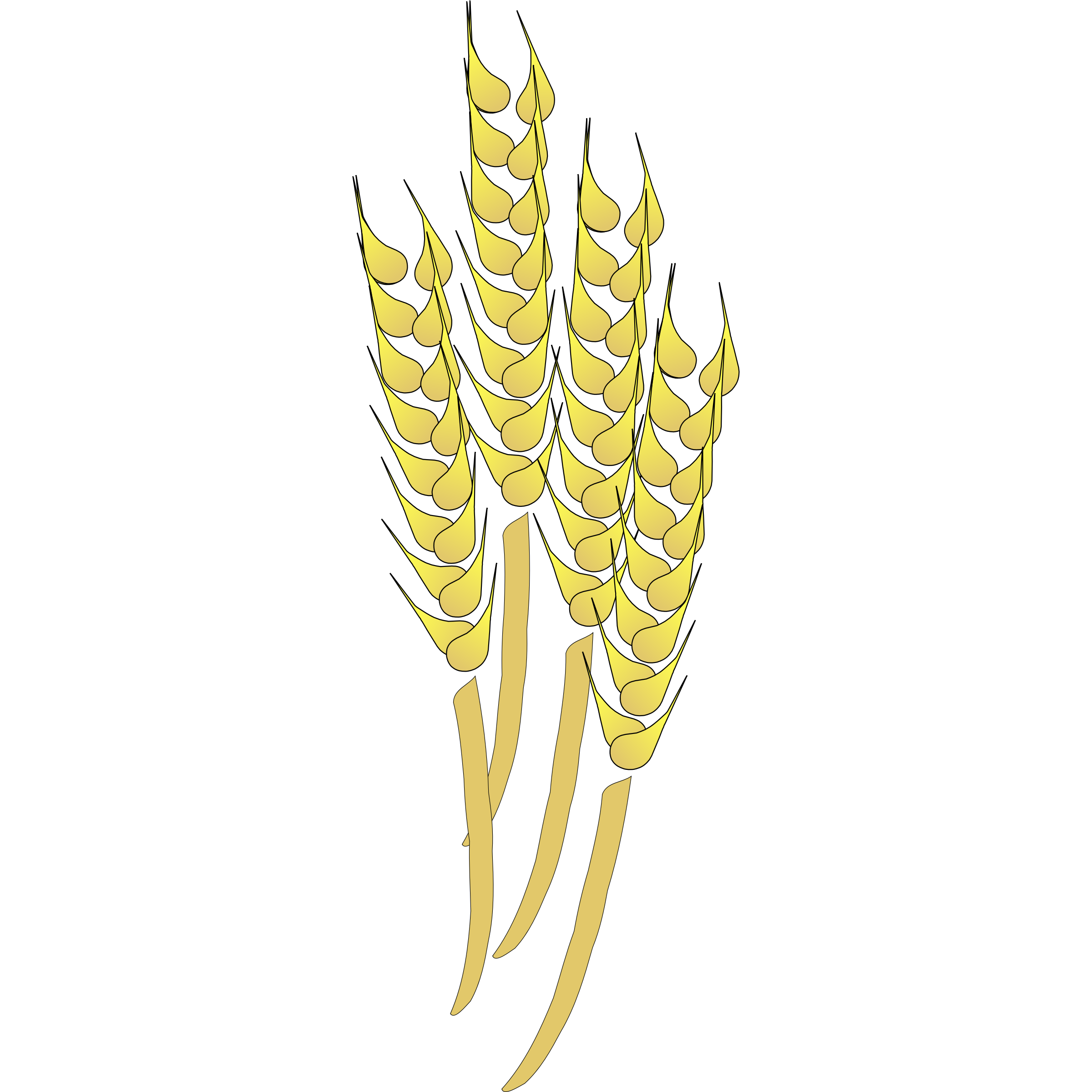 67+ Wheat Pictures Clip Art