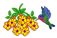 Hummingbird clip art of brightly colored hummingbirds and ...