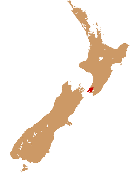Wellington