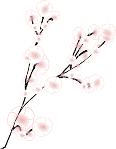 Simple Cherry Blossom Branch Clip Art - vector clip ...