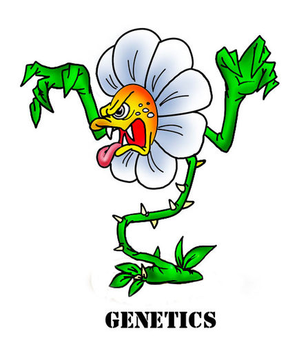 Cartoon Plants | Natural Photography