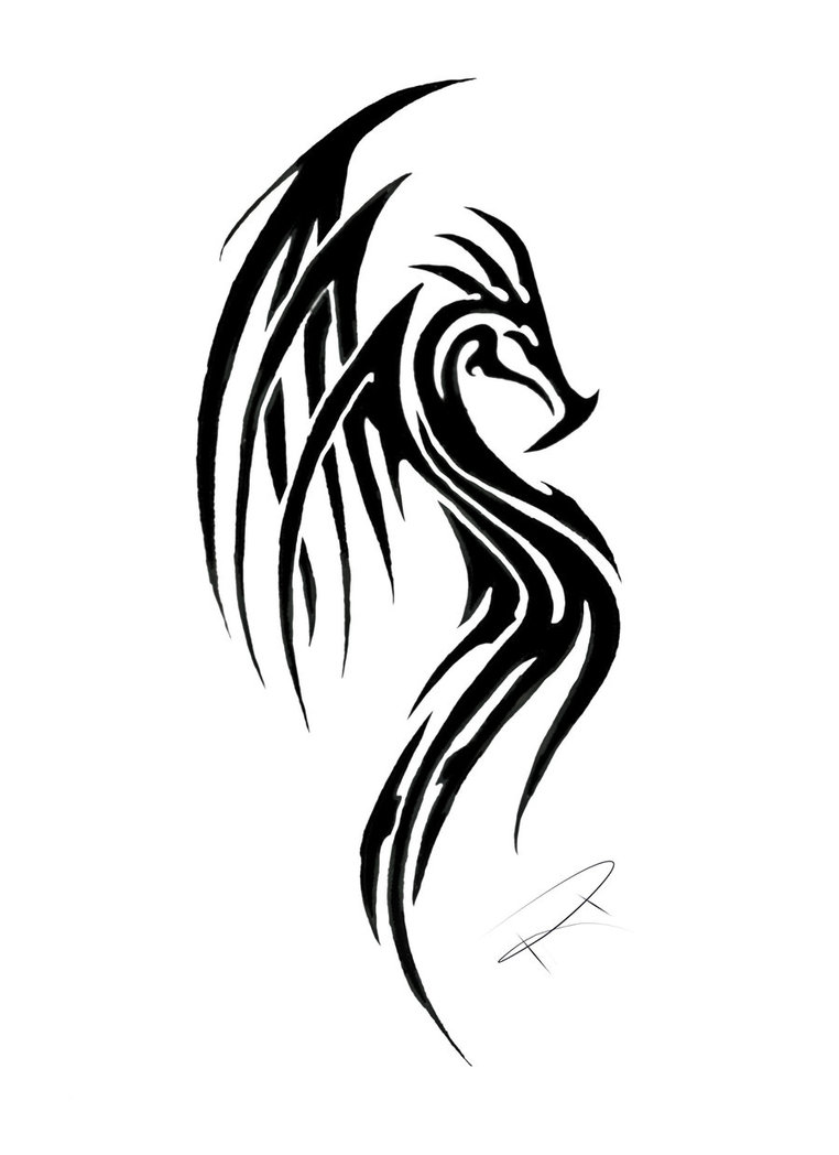 Tattos | Tribal Dragon Tattoos Designs | Plug & Piercing