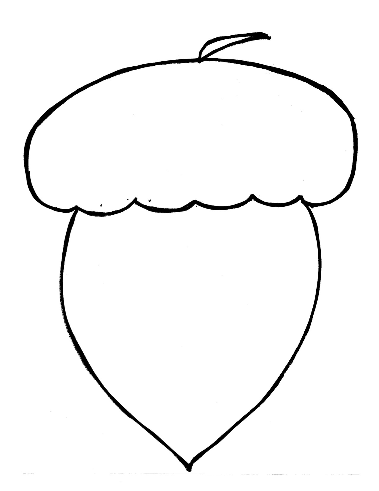 Picture Of An Acorn Nut ClipArt Best