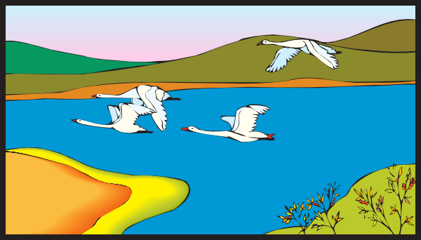 Lake 