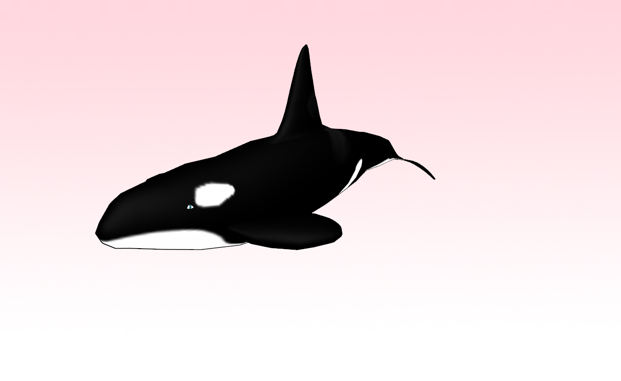 Shamu Coloring Pages - ClipArt Best