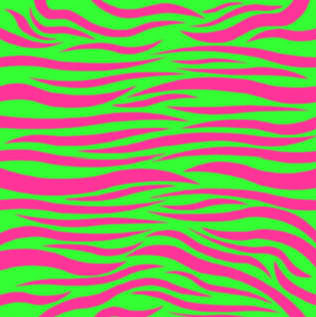 1000+ images about zebra print