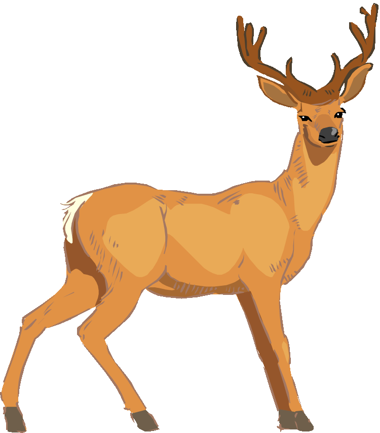 Deer Clip Art - Tumundografico