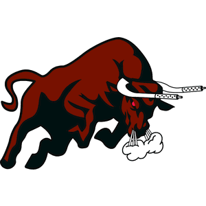 Chicago Bulls Logo Png