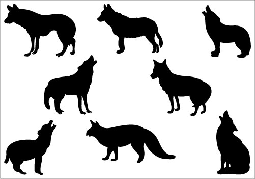 Imgs For > Coyote Clipart Black And White