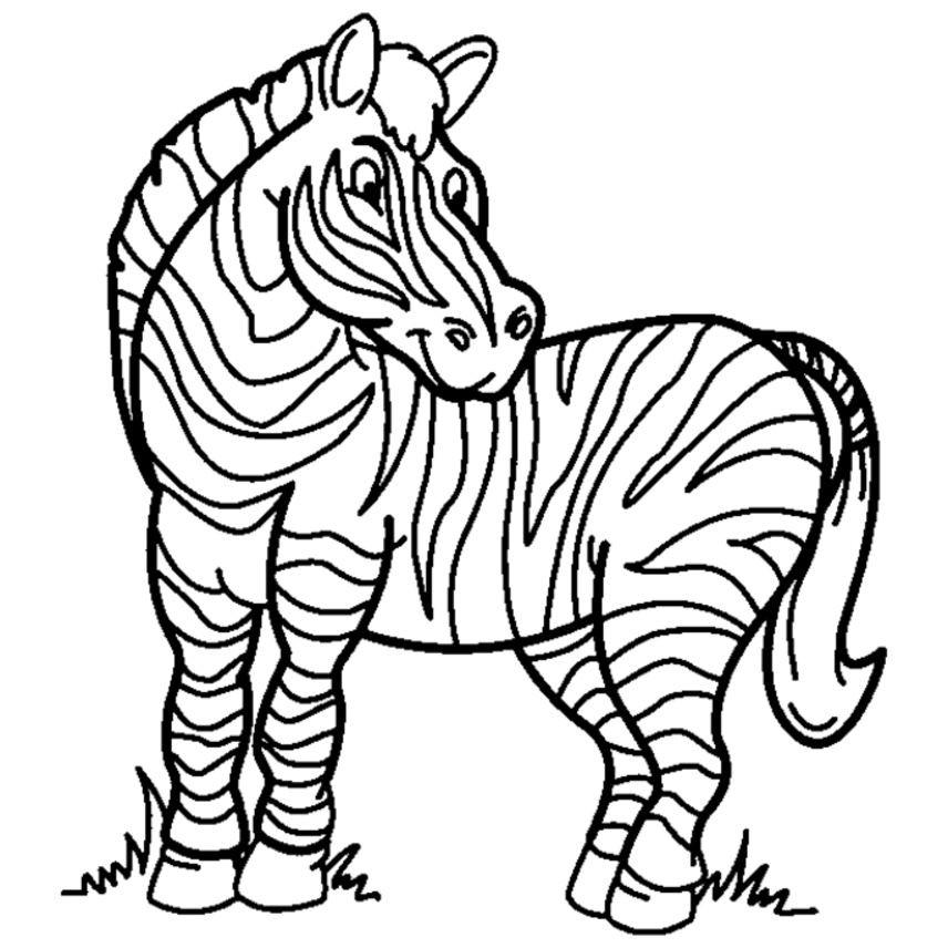 zebra coloring pages