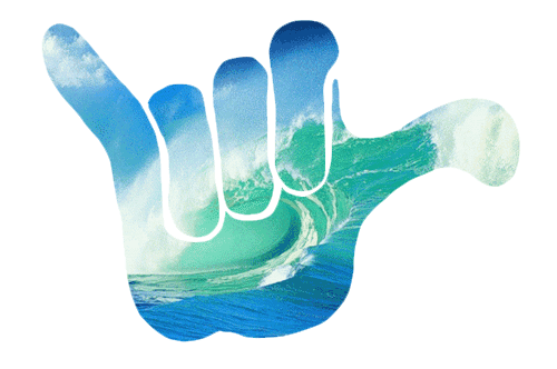 hang ten gif | Tumblr
