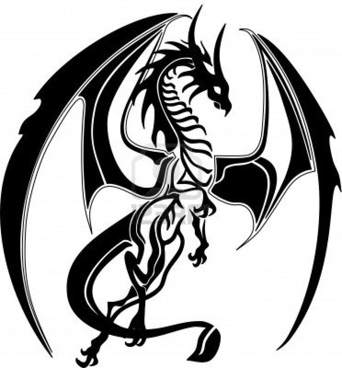 Dragon, Photos and Yin and yang