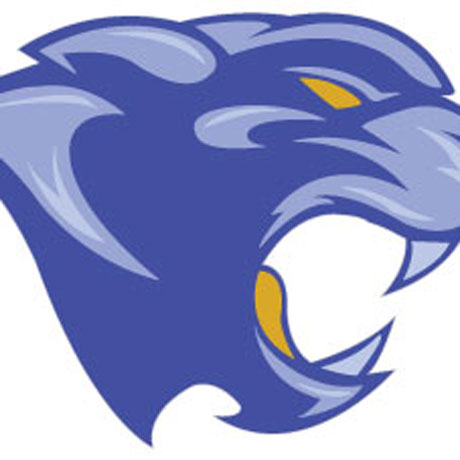 14+ Blue Panther Clipart