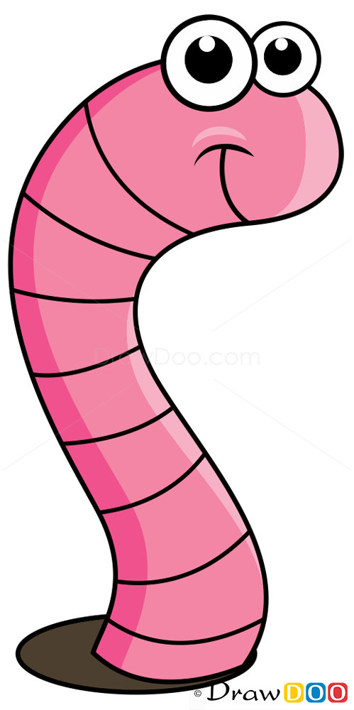 How to Draw Worm, Insects
