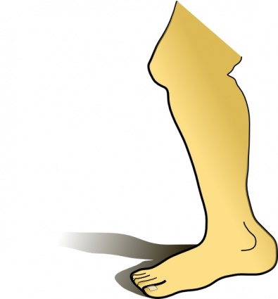 Part Outline Human Cartoon Free Body Parts Leg Biswajyotim Legs ...