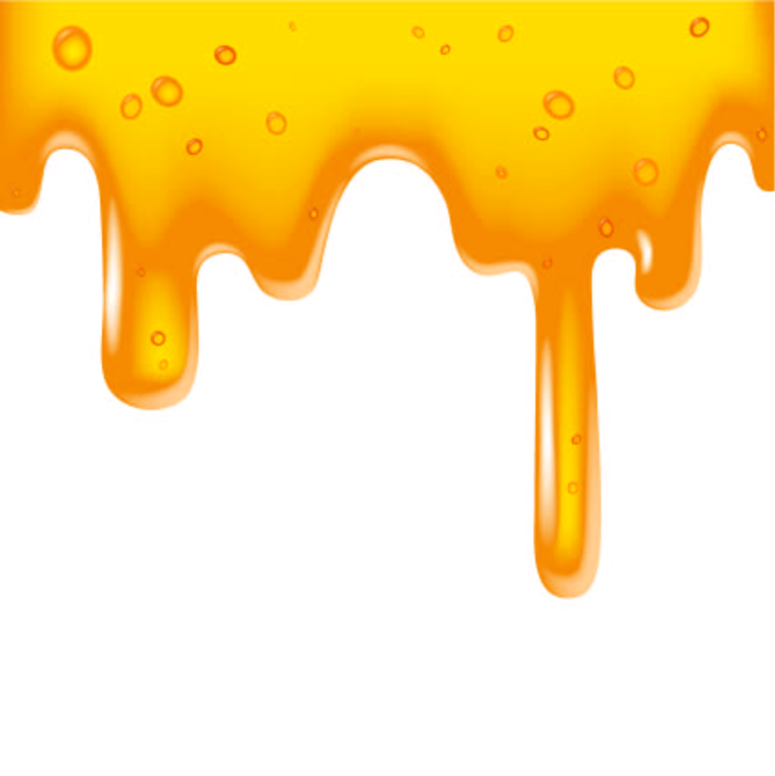 Bee honey honeycomb vector Free Vector