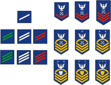 U.S. Army, enlisted rank insignia - vector image