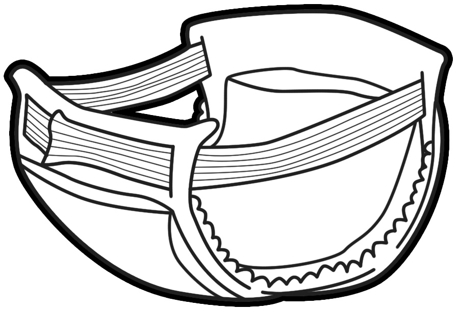 Diaper Clipart