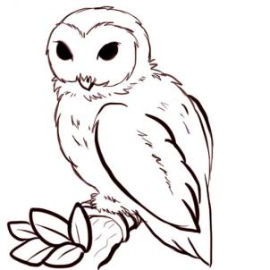 How to Draw Owls, Step by Step, Birds, Animals, FREE Online ...