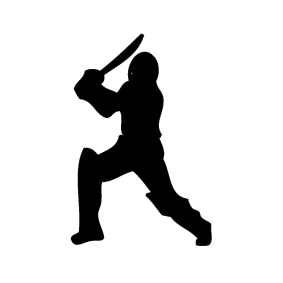Cricket equipment from Cook & Matthews