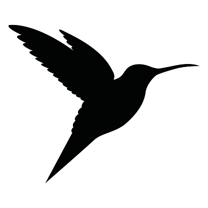 Hummingbird Clip Art, Vector Images & Illustrations