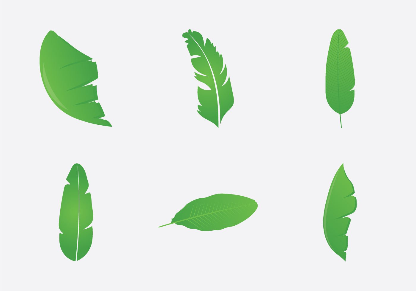 Banana Leaf Free Vector Art - (3526 Free Downloads)