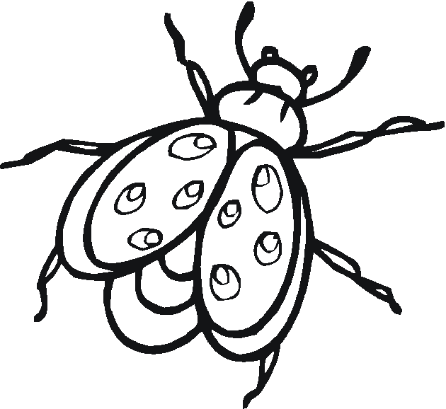 Lightning bug black and white clipart