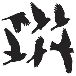 Bird Stencil | Stencils, Stencils ...