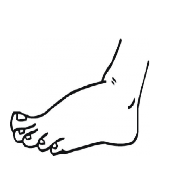 Left Foot Photos - ClipArt Best