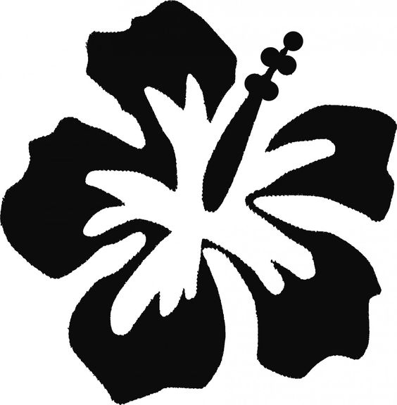 Hibiscus, Tattoo stencils and Pumpkins