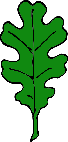 Oak tree leaf clipart