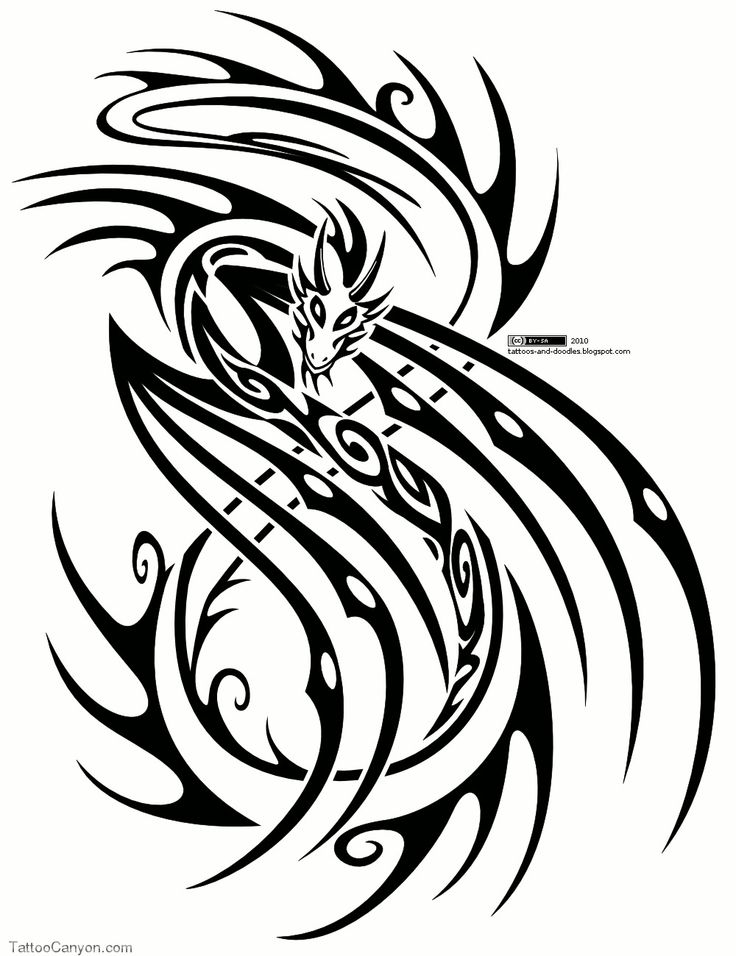 1000+ images about Dragon