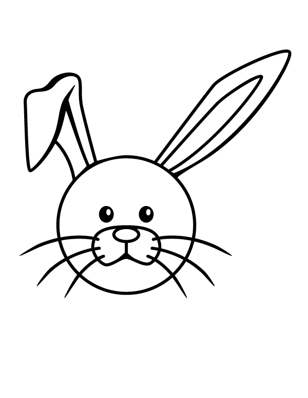 Picture Of A Rabbit