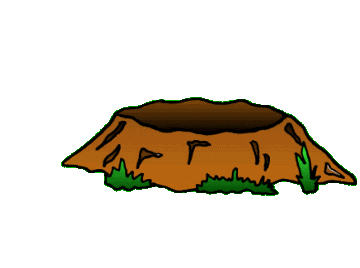 Ground Hog And Happy Groundhog Day Animations