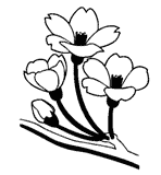 Garden - Park Art for Prom or Homecoming, Cheap Favors