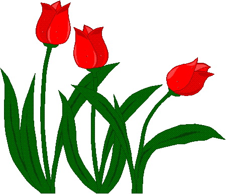 Bunga, Clipart « SchoolTube