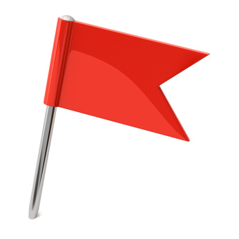 Web development red flag | Pilot Fish SEO Blog