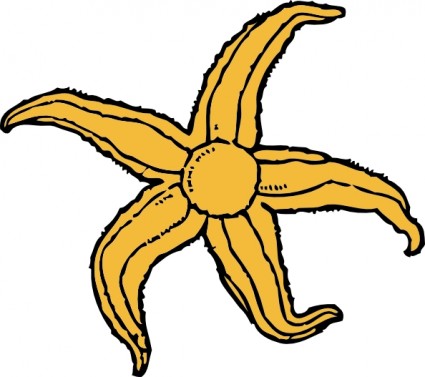 Starfish clip art Vector clip art - Free vector for free download