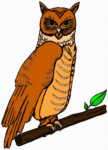 Owl Clipart - The Owl Pages