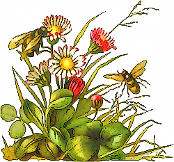 Free Baskets and Bouquets Clipart - Public Domain Plant clip art ...