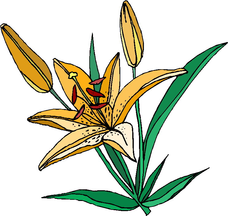 Clip Art - Clip art plants 165627