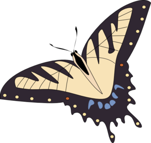 Large Butterfly clip art - vector clip art online, royalty free ...