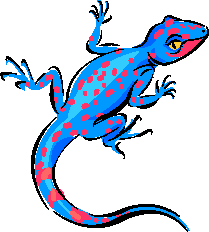 A Skink Named "