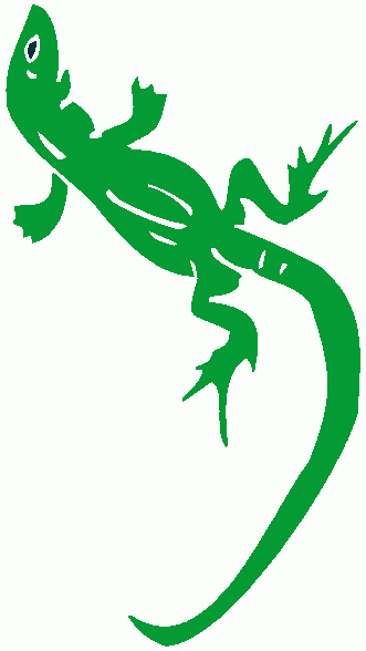 lizard clipart - lizard clip art